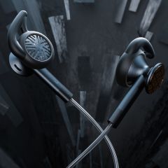 FiiO FF3S Dual-Cavity Earphones