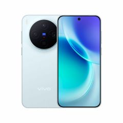 Vivo X300