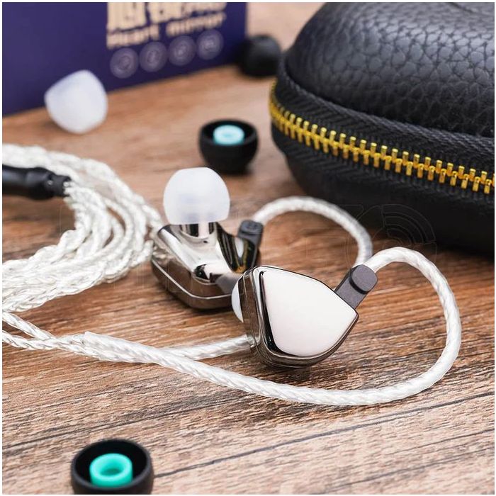HZSound Heart Mirror Pro